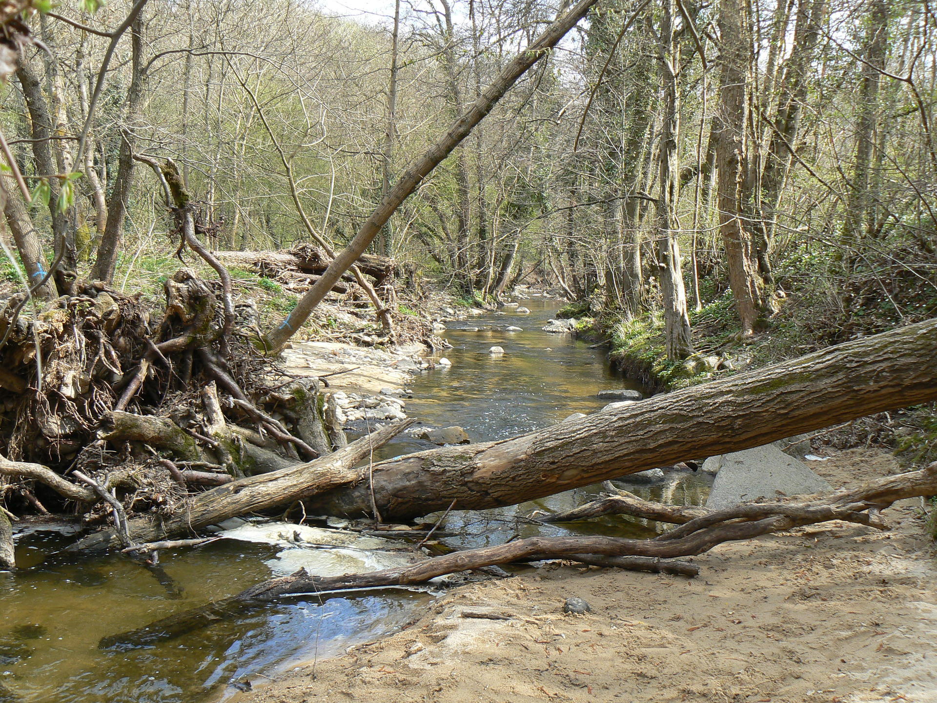 peche truite yzeron