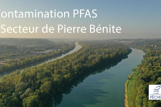 Contamination par les PFAS / secteur de Pierre Bénite