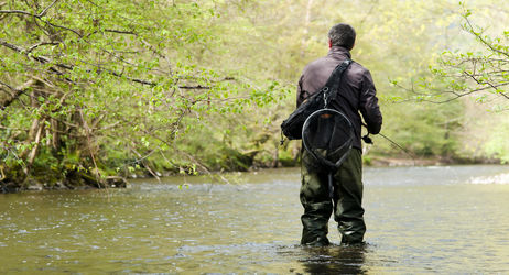 Fermeture de la Pêche de la Truite