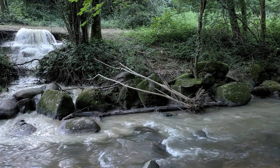 Pollutions de l'Yzeron à Craponne et Francheville