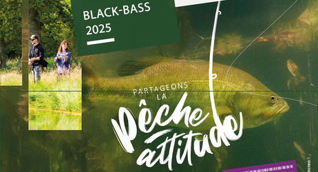 Ouverture de la Pêche du black-bass