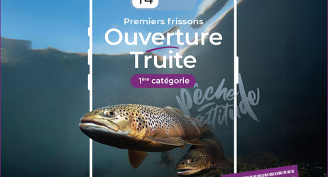Ouverture de la pêche de la Truite