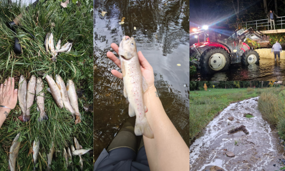 Pollution sur la Brévenne
