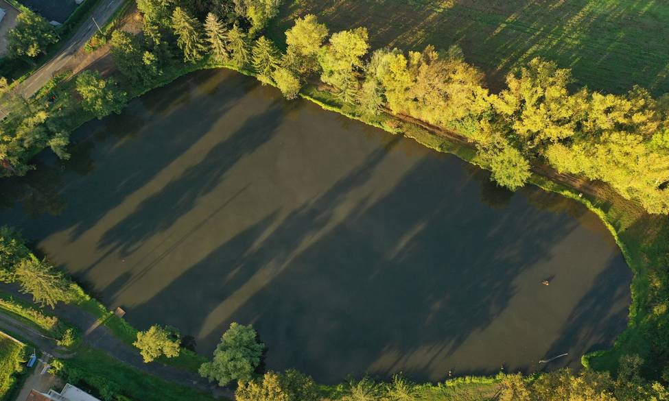 Info Pêche plan d'eau des Chères
