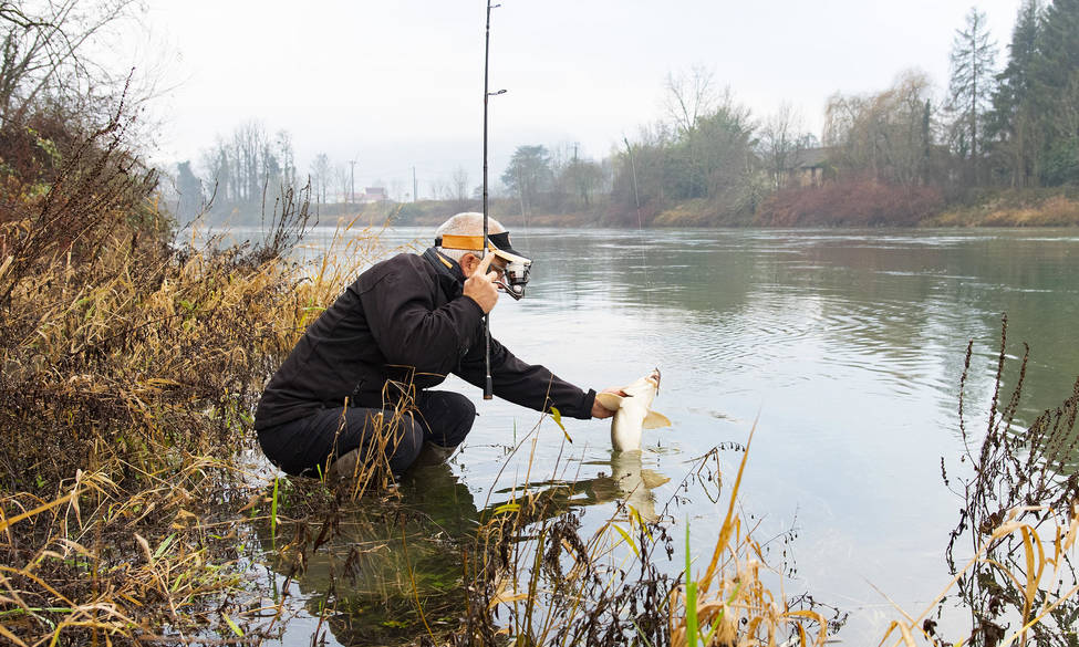 Appâts autorisés pendant la fermeture du brochet 