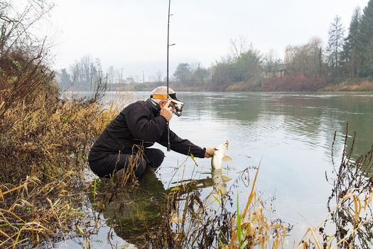 Appâts autorisés pendant la fermeture du brochet 