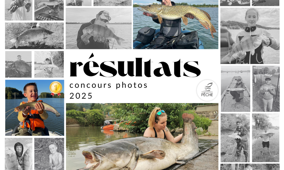 Résultats concours photos 2025