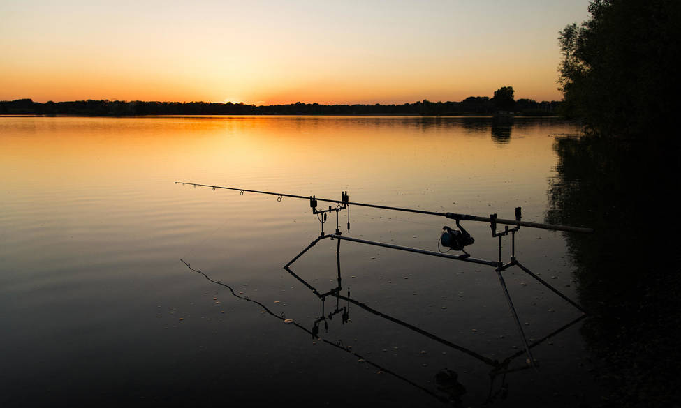 Carpe de nuit au Colombier 2026