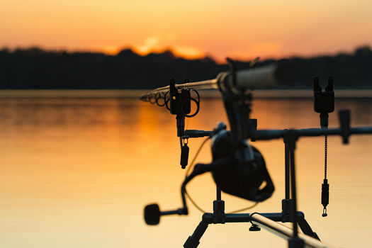 Nouveaux spots de pêche pour la carpe de nuit