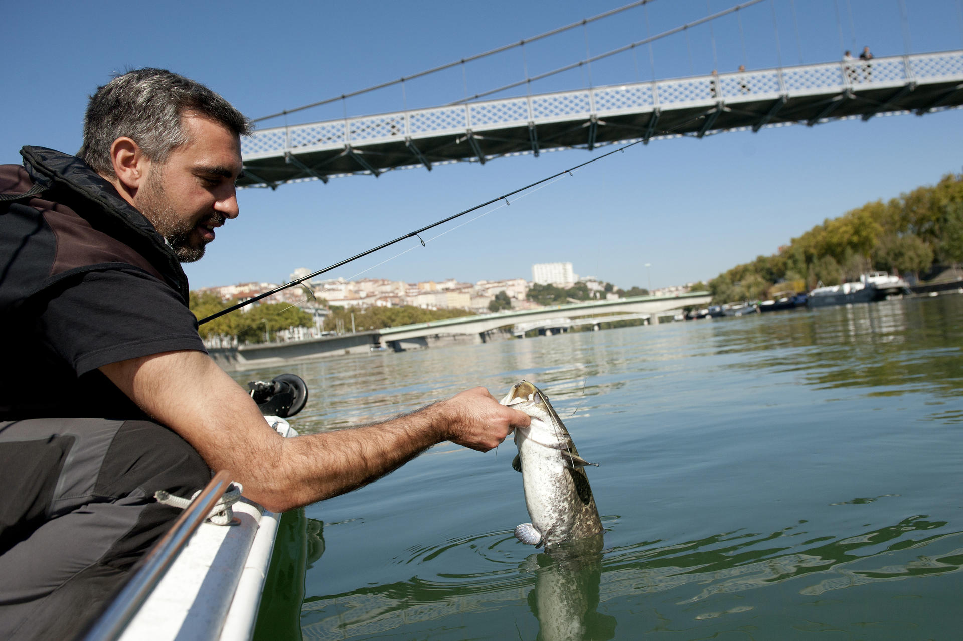 Wels catfish fishing - Fédération de pêche du Rhône
