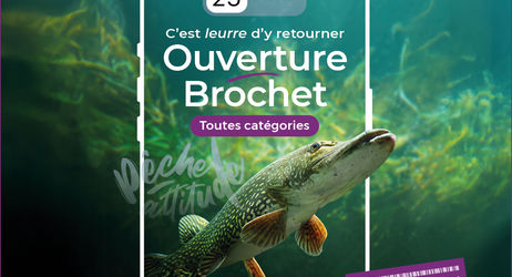 Ouverture de la pêche du Brochet