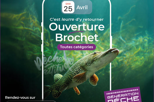 Ouverture de la Pêche du Brochet 2026